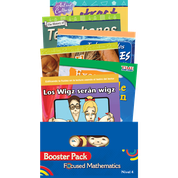 Focused Mathematics: Booster Pack: Level 4 (Spanish)