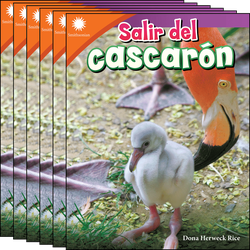 Salir del cascarón 6-Pack