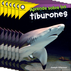 Aprende sobre los tiburones 6-Pack