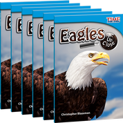 Eagles Up Close 6-Pack