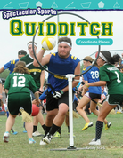 Spectacular Sports: Quidditch: Coordinate Planes