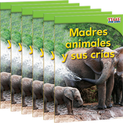 Madres animales y sus crías 6-Pack