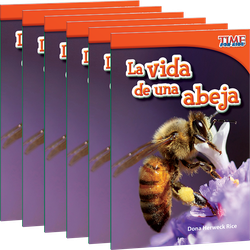 La vida de una abeja 6-Pack