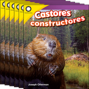 Castores constructores 6-Pack