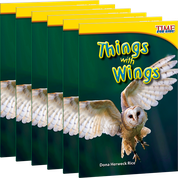 Things with Wings 6-Pack