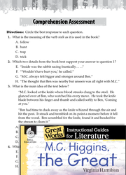 M.C. Higgins, the Great Comprehension Assessment