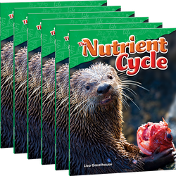 The Nutrient Cycle 6-Pack