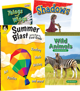 Learn-at-Home: Summer STEM Bundle Grade 1