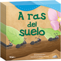 A ras del suelo 6-Pack