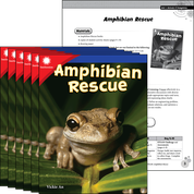 Amphibian Rescue 6-Pack