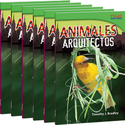 Animales arquitectos 6-Pack