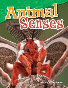 Animal Senses