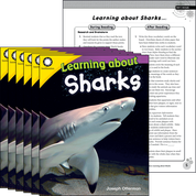 Learning about Sharks 6-Pack