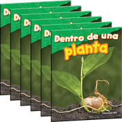 Dentro de una planta 6-Pack