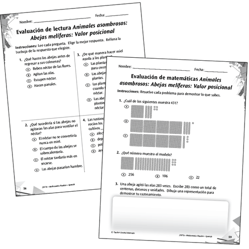 Assessment Resources