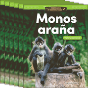 Animales asombrosos: Monos araña: Valor posicional 6-Pack