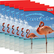 Usa las matemáticas: Descríbelo 6-Pack